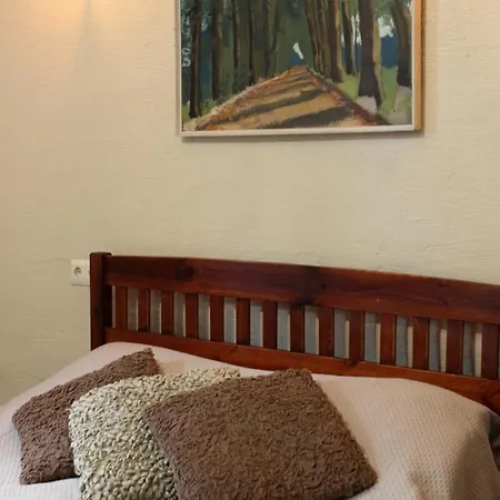 Homestay Braslu Maja *